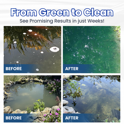 🌟 Official Store |⏱️ Crystal Clear in 24 Hours! |LiraSkin® AQUA-SAFEGUARD Advanced Water Care Solution